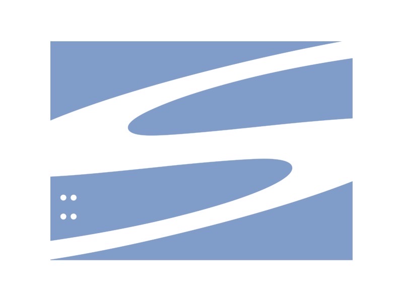 SVN Revision Manager